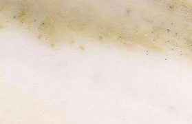 123c