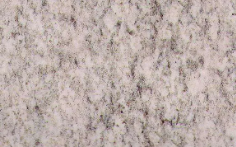 1vd