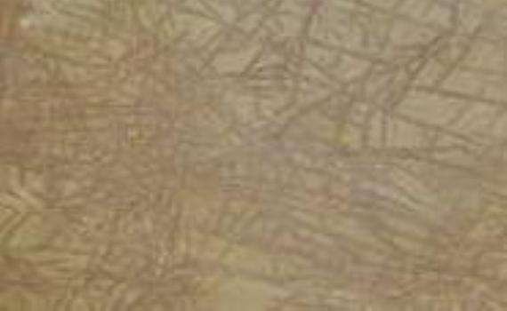 amarillo sol 6119