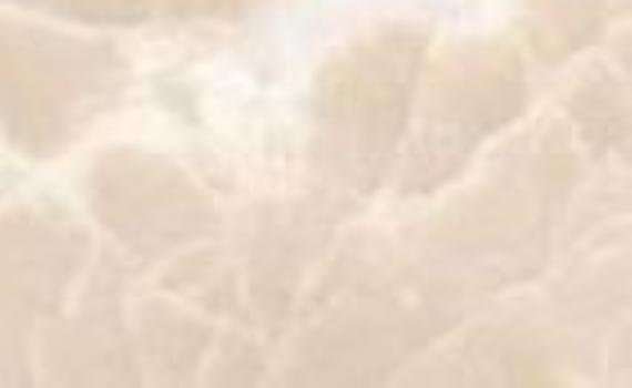 anka cream 5919
