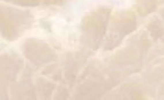 anka cream 5919