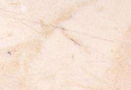 antique beige 3618