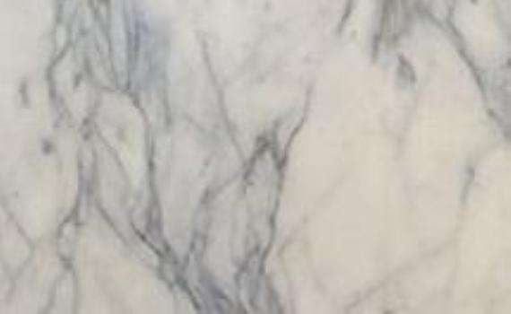 arabescato roberto 6172
