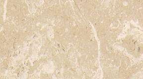 ari beige 4137