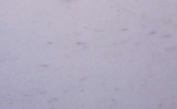 armonia white 2811