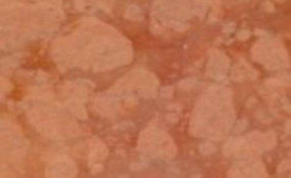 Asiago Red asiago red 6319