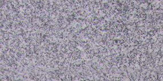 asian grey 4877