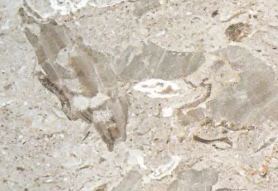 aurisina