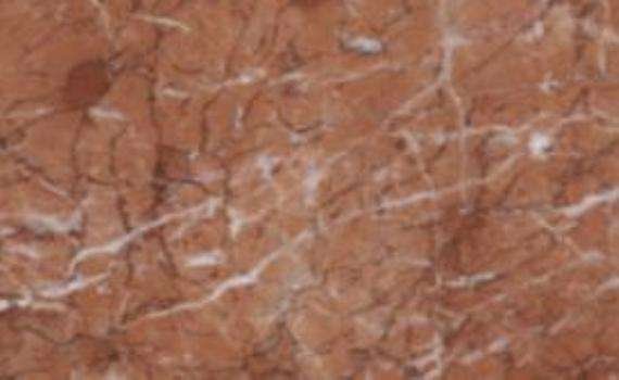 autumn brown 6399