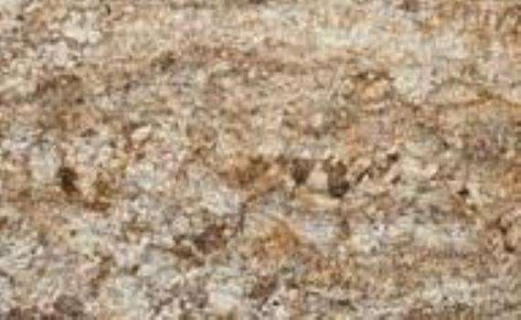 autumn gold exotic 5714