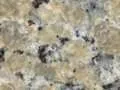 beige butterfly 216