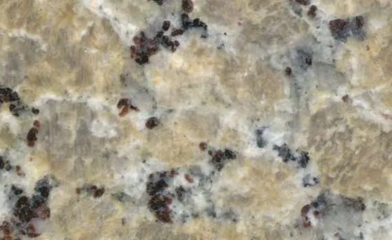beige butterfly 216
