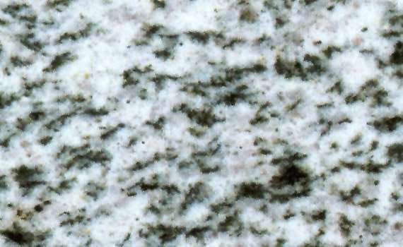 bianco halayeb 1425