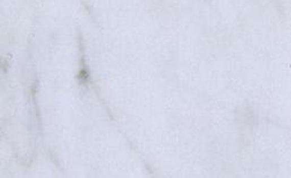bianco pencilvein 6297