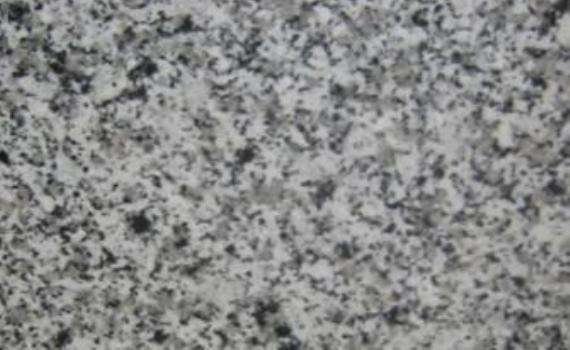 Bianco Raffaela bianco raffaela 6851