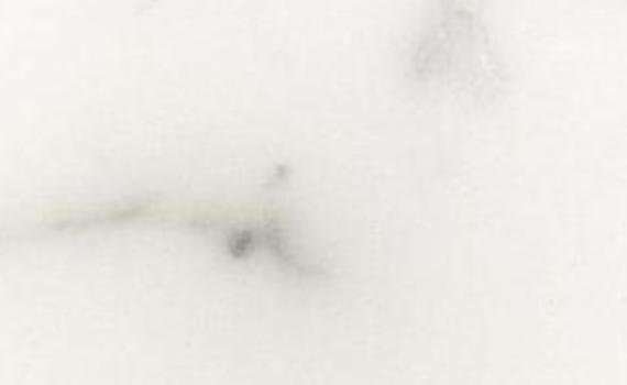 bianco statuario extra 6742