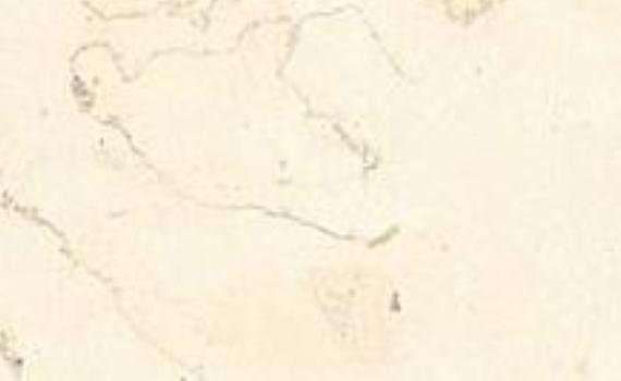biancone 5354
