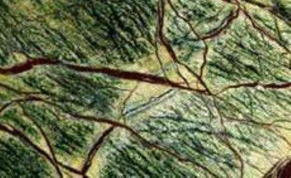 bidazar green marble 6423