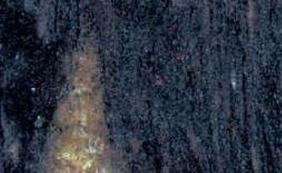 black wood 6359