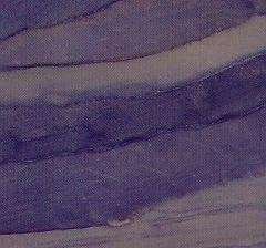 blue boquira 3296