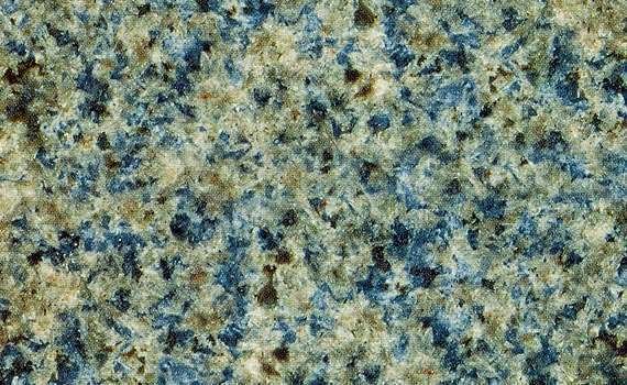 blue palmeris 1003