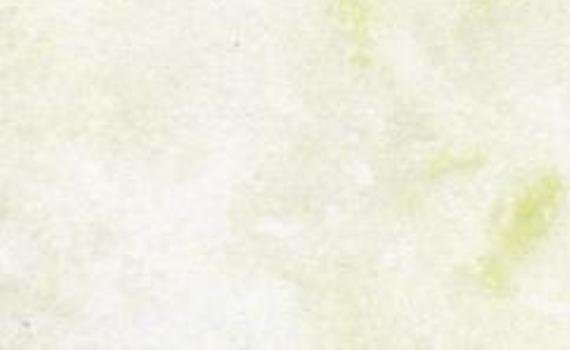 boka white 6300