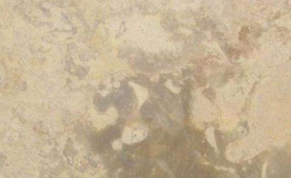 breccia champagne 7737