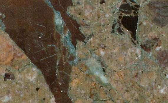breccia de honefleure 1309