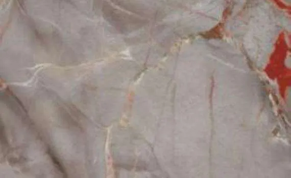 breccia di versailles 7114