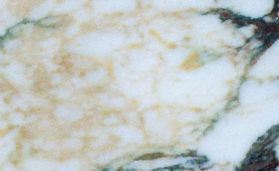 breccia medicea 2454