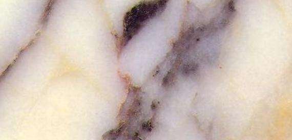 breccia multicolore 4749