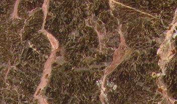 breccia notre dame 4288