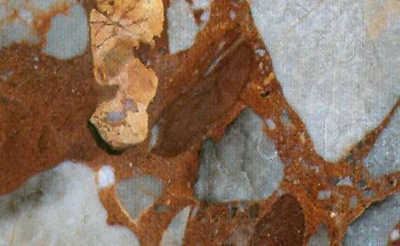 breccia policroma 1316