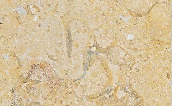 breccia sinai 1574