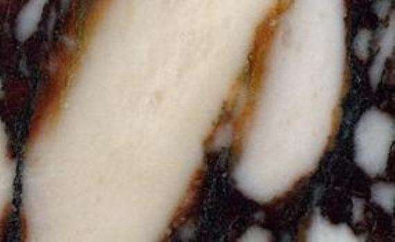 breccia vagli rosata marble 6303