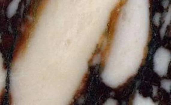 breccia vagli rosata marble 6303