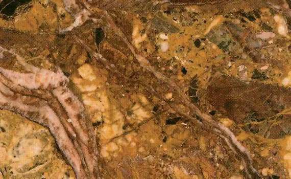 Meduse Marble breche meduse 153