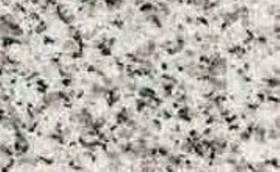 caesar white 5377