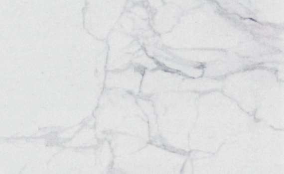 calacatta 523
