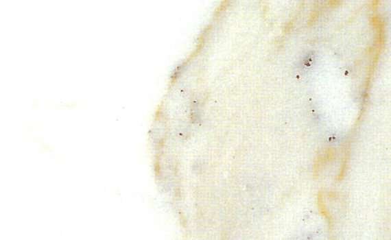calacatta carrara 2663