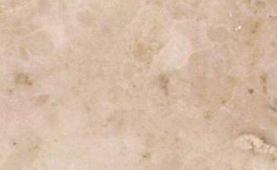 Cappucino Gold cappucino gold 7306