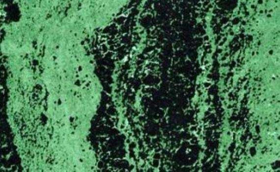 cascade green marble 6497