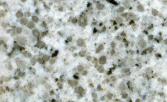 ceara 2457