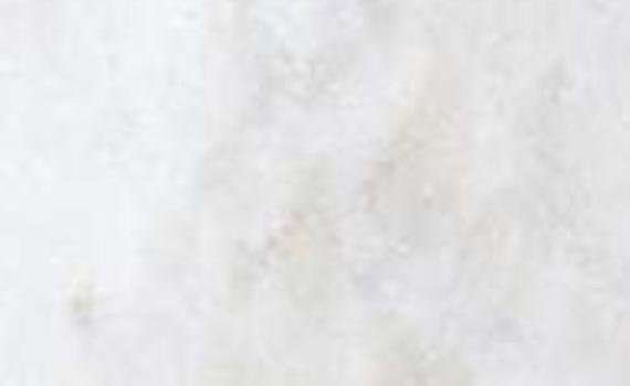 Champagne champagne marble 5550