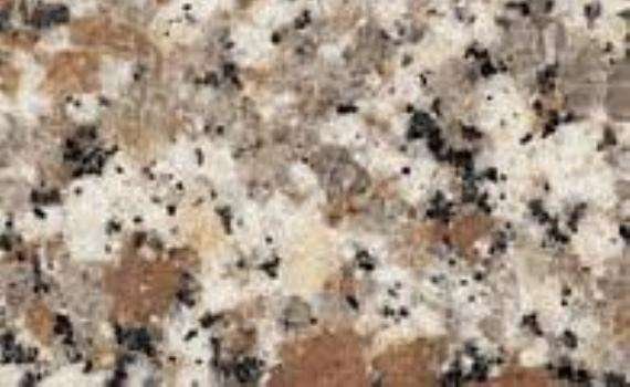 chiandone rosa sardo 5388