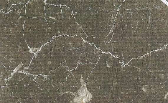 china marron emperador 3562