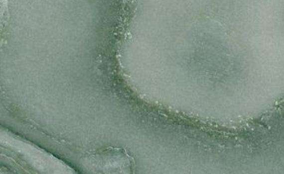 cipollino green 6904