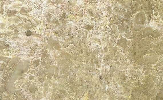 classic cream 4984