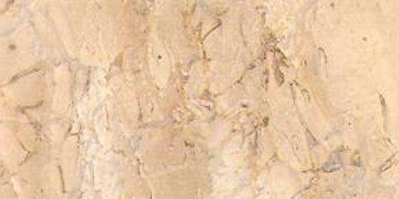 claudia beige 4881