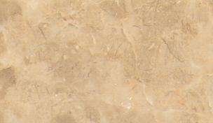cleopatra yellow 4172